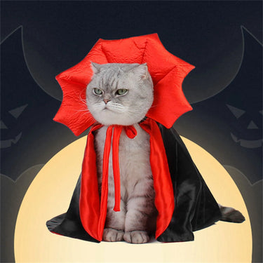 A gray cat wears a Cute Halloween Cat Costume by KittyNook Cat Co., sitting before a moon and jack-o'-lanterns.